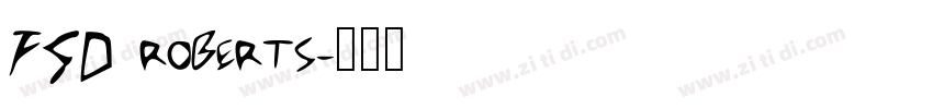 FSD roberts字体转换